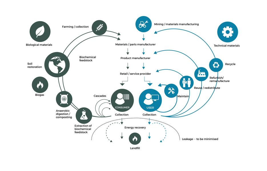 Butterfly Diagram Circular Economy